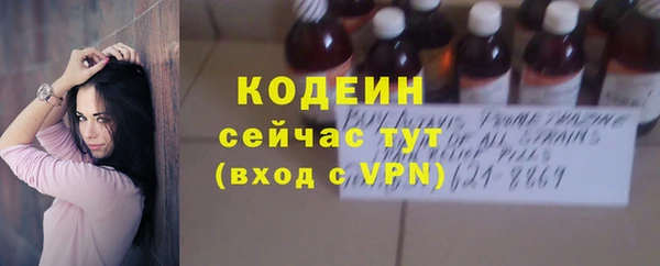ПСИЛОЦИБИНОВЫЕ ГРИБЫ Арсеньев