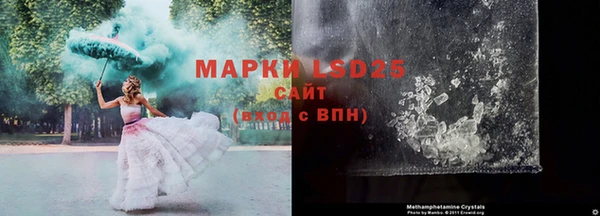 ПСИЛОЦИБИНОВЫЕ ГРИБЫ Арсеньев