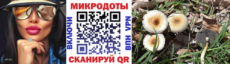 Псилоцибиновые грибы прущие грибы  Мамоново 